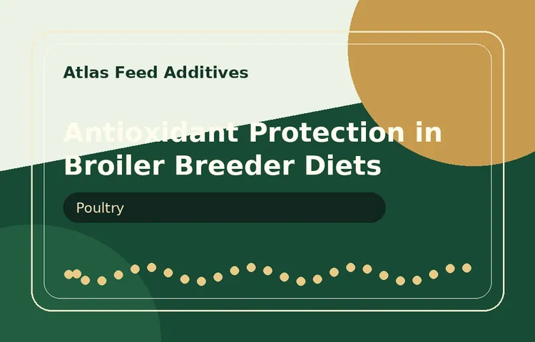 Antioxidant Protection in Broiler Breeder Diets visual