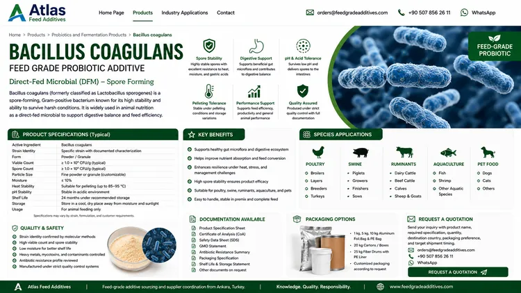 Bacillus coagulans feed additive visual