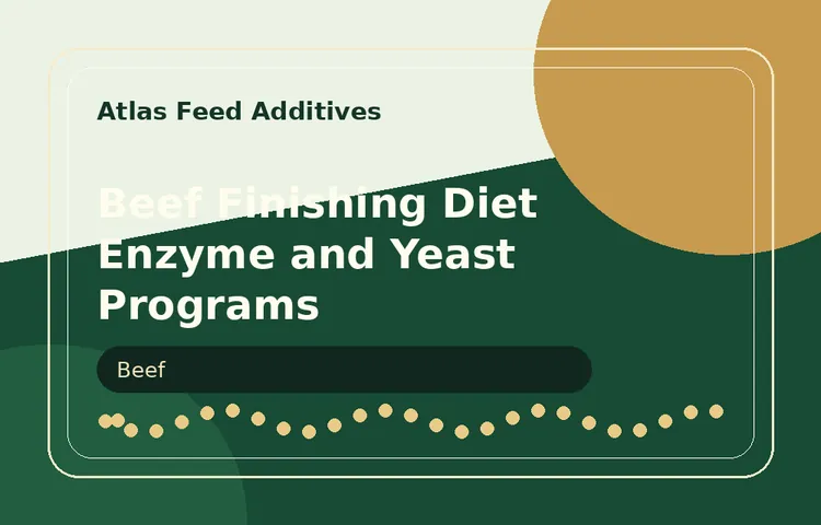 Beef Finishing Diet Enzyme and Yeast Programs visual