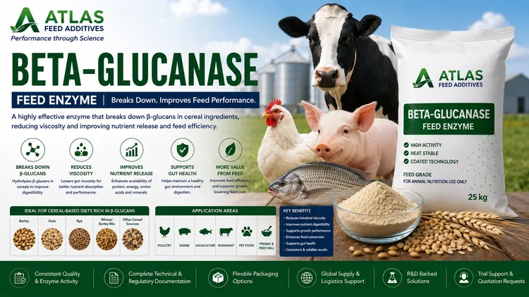 Beta-Glucanase feed additive visual