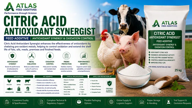 Citric Acid Antioxidant Synergist feed additive visual