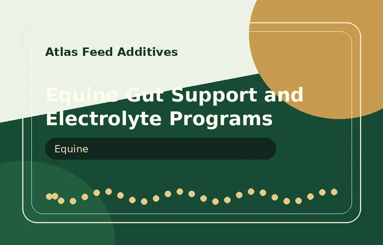 Equine Gut Support and Electrolyte Programs visual
