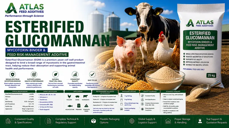 Esterified Glucomannan feed additive visual