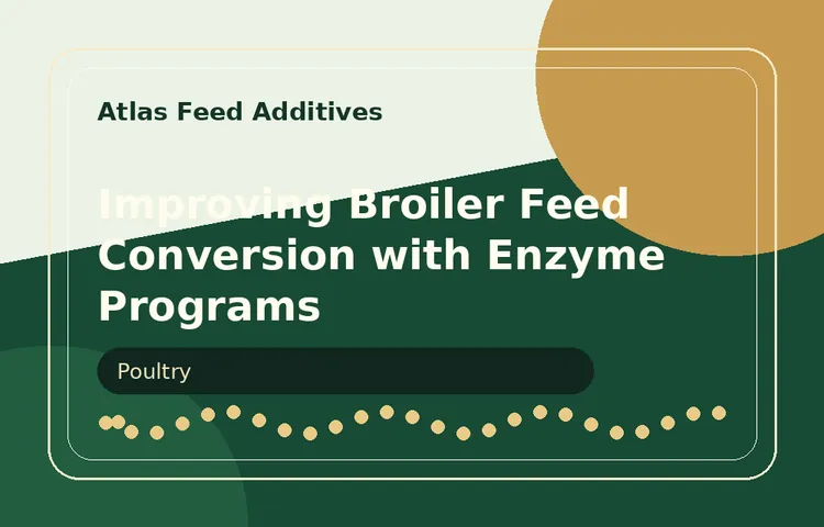 Improving Broiler Feed Conversion with Enzyme Programs visual