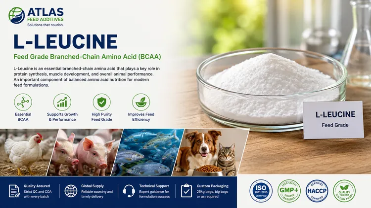 L-Leucine feed additive visual