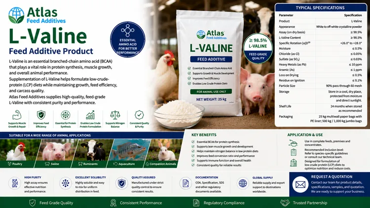 L-Valine feed additive visual